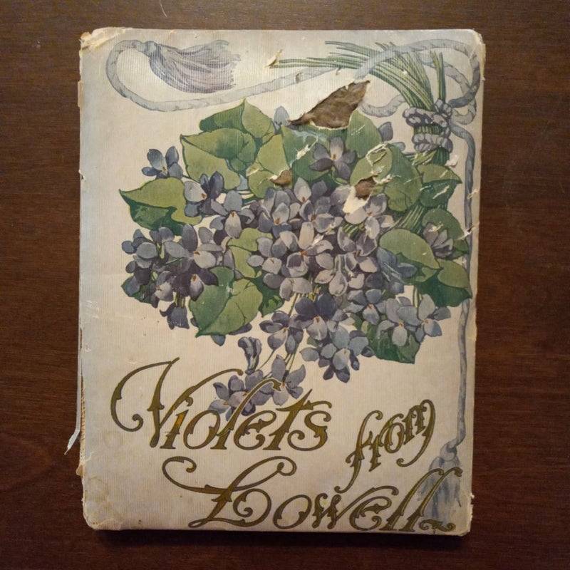 Violets from Lowell