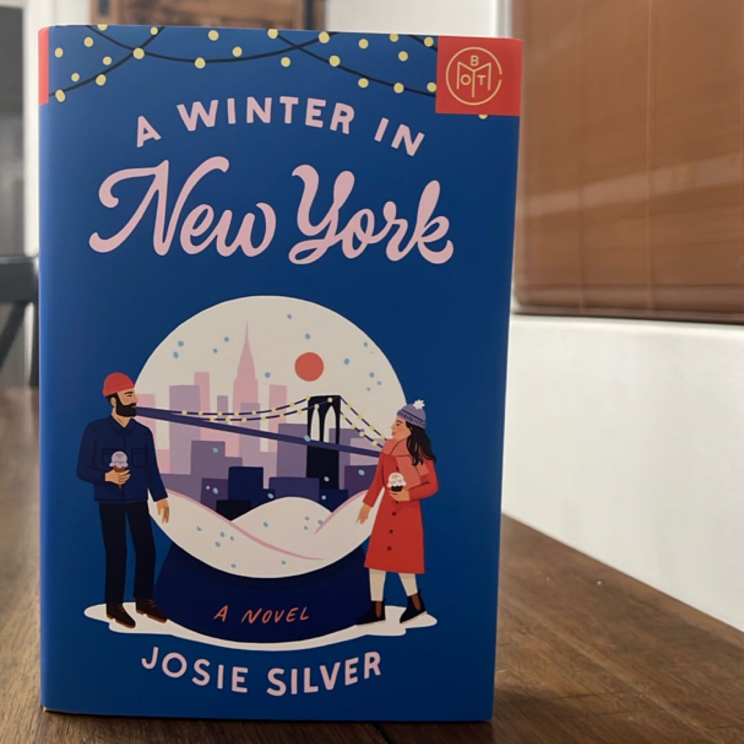 A Winter in New York