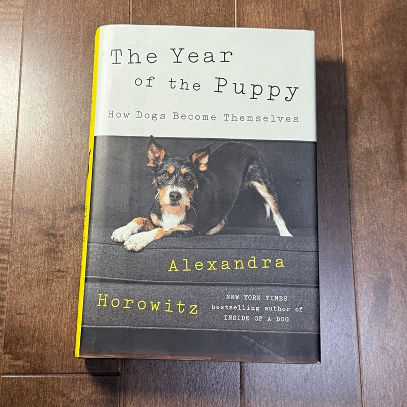 The Year of the Puppy