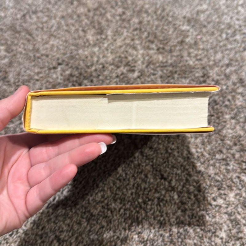 Varina Palladino's Jersey Italian Love Story