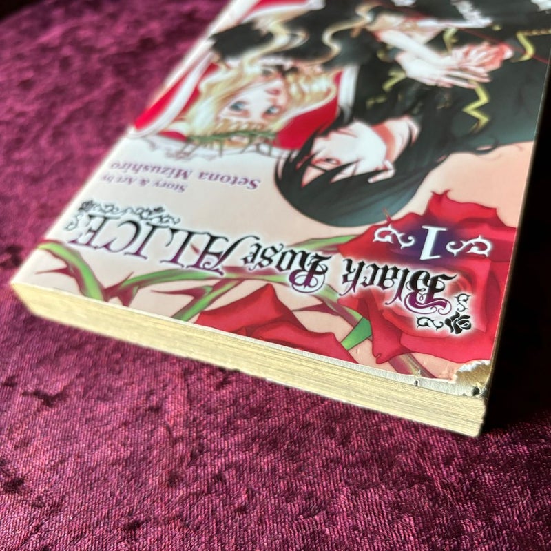 Black Rose Alice, Vol. 1