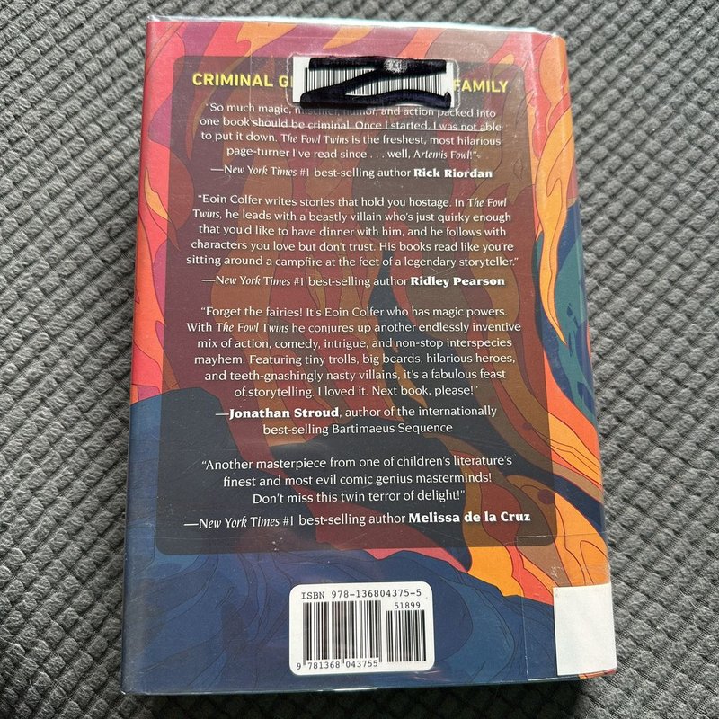 The Fowl Twins (a Fowl Twins Novel, Book 1)