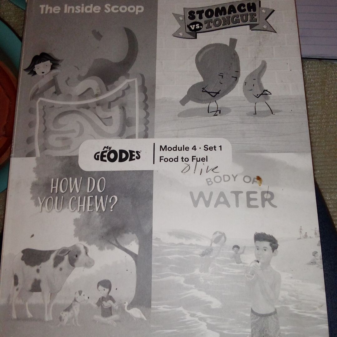 Geodes Level 2 My Geodes BW Book Compilation, Mod 4 Set 1 -- Spanish by ...