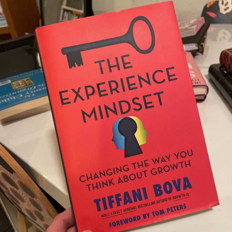 The Experience Mindset