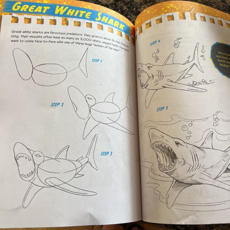 The Boys' Guide to Drawing