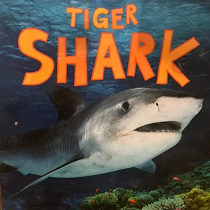 Discover Sharks - Pack Scholastic English Language