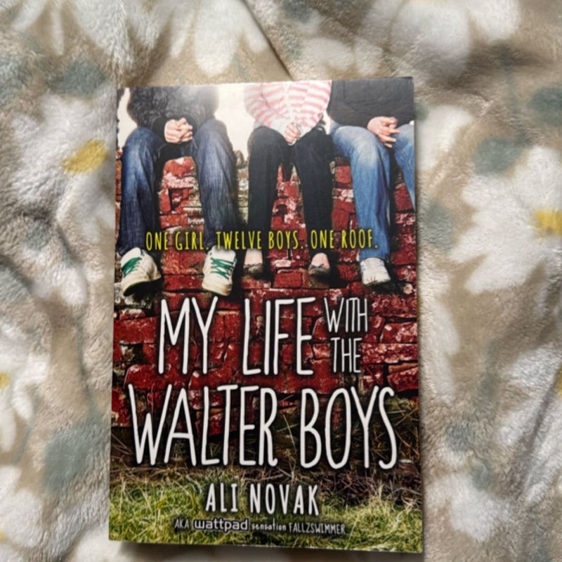 My Life with the Walter Boys
