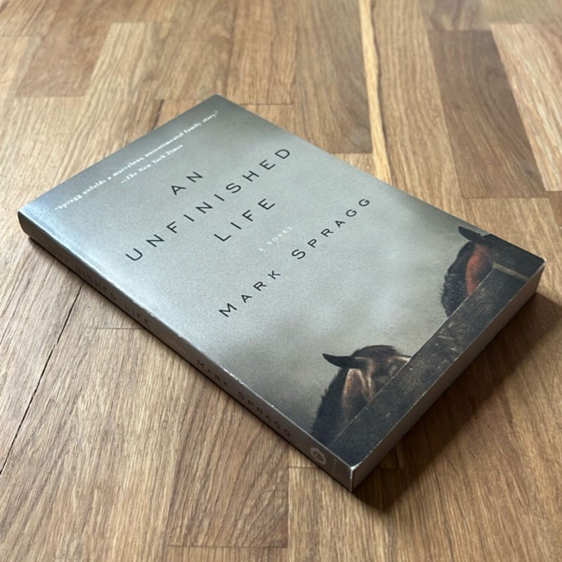 An Unfinished Life