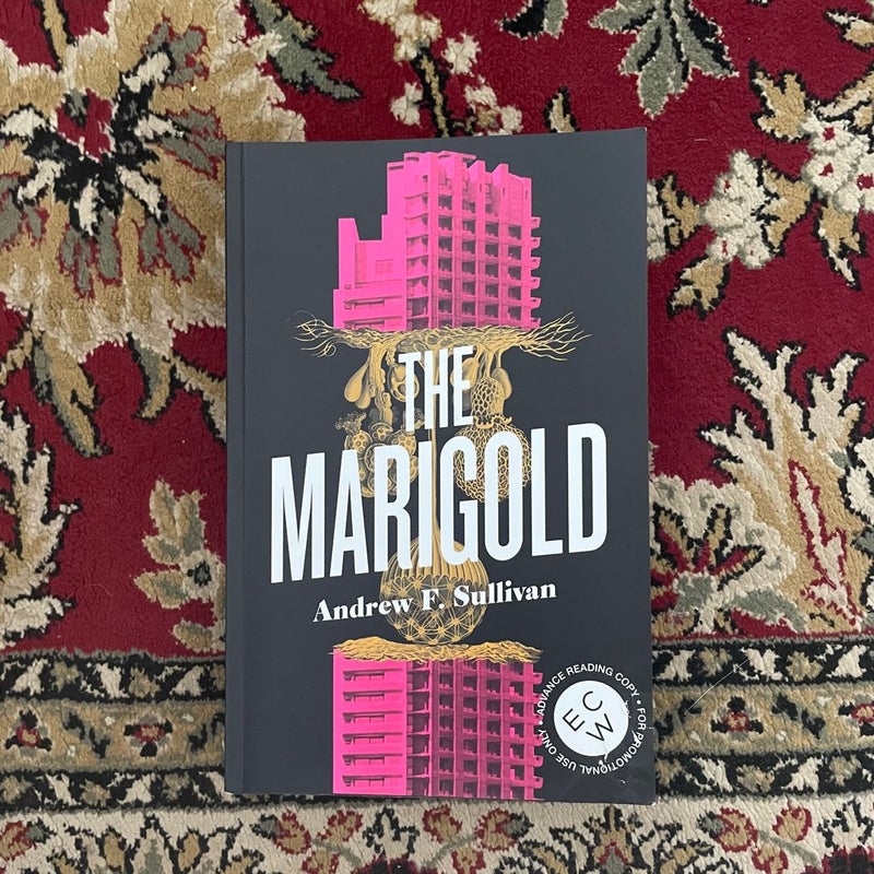 The Marigold