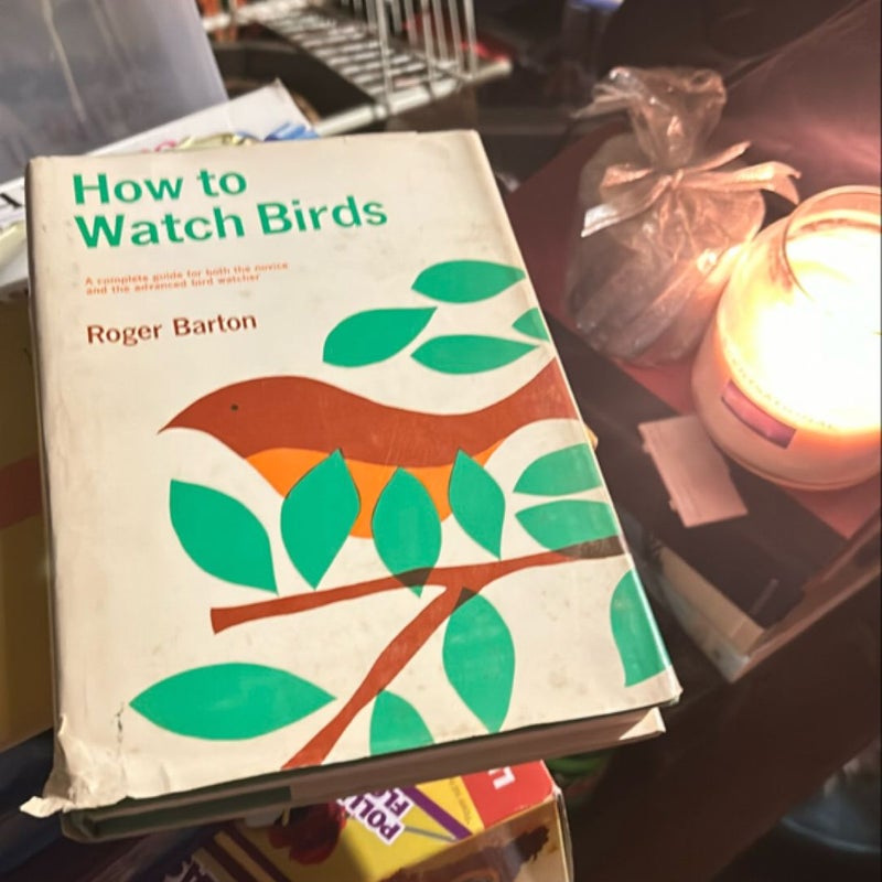 How to watch birds