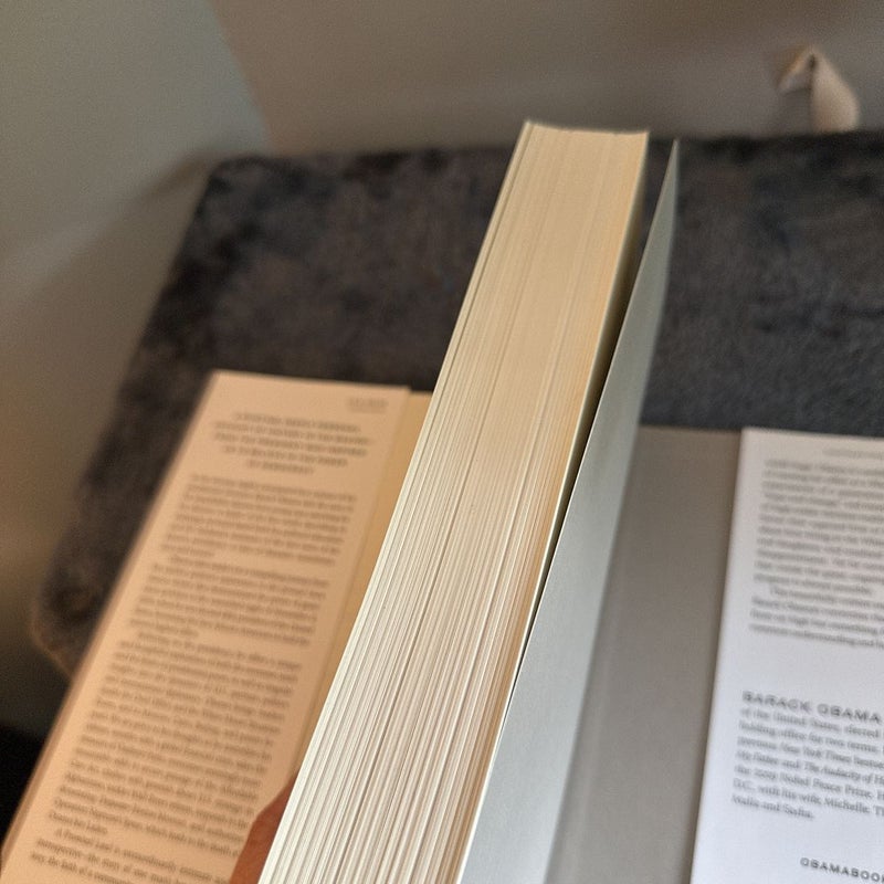 (First Edition) A Promised Land