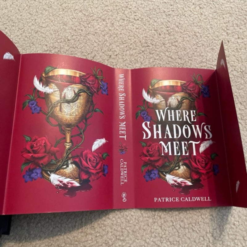 Where Shadows Meet 