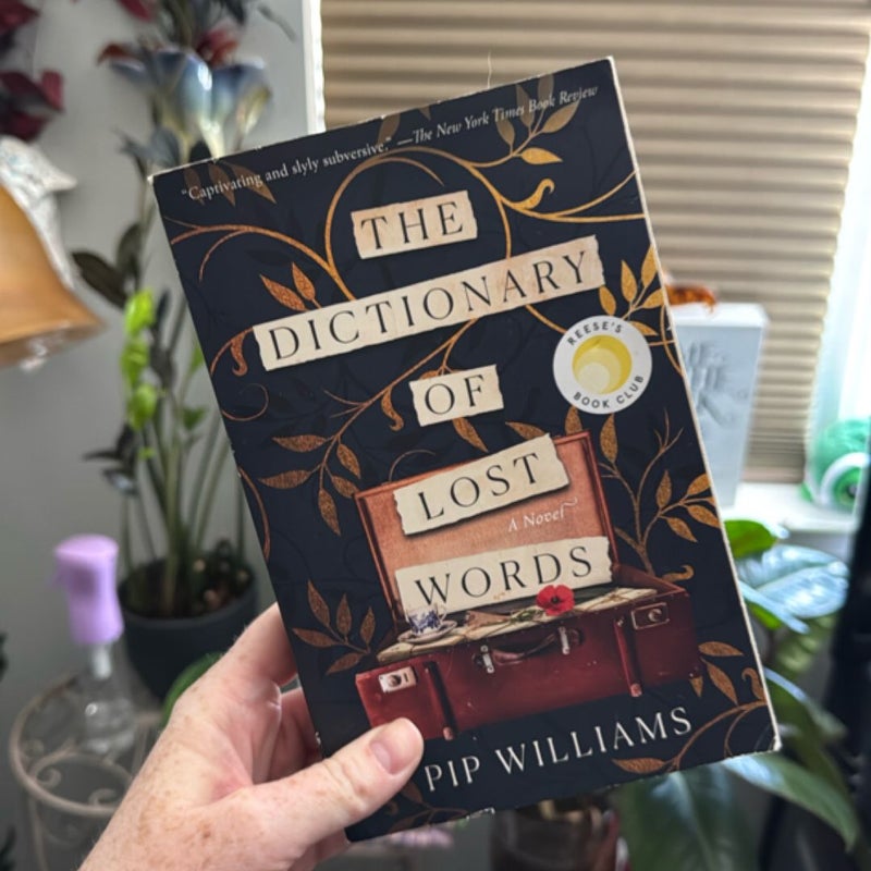 The Dictionary of Lost Words