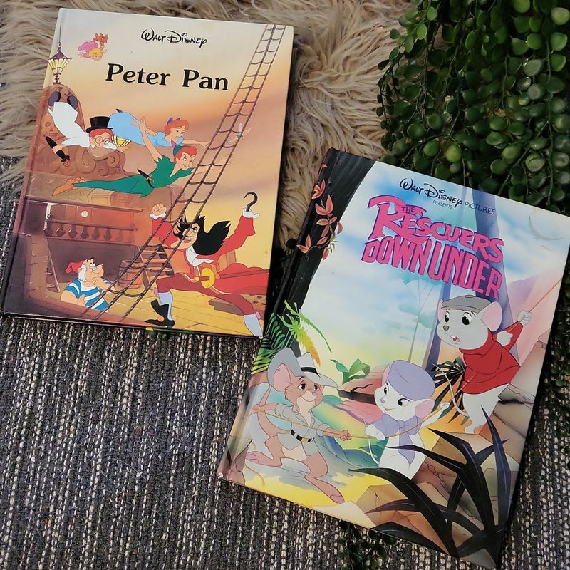 Disney Gallery Books bundle