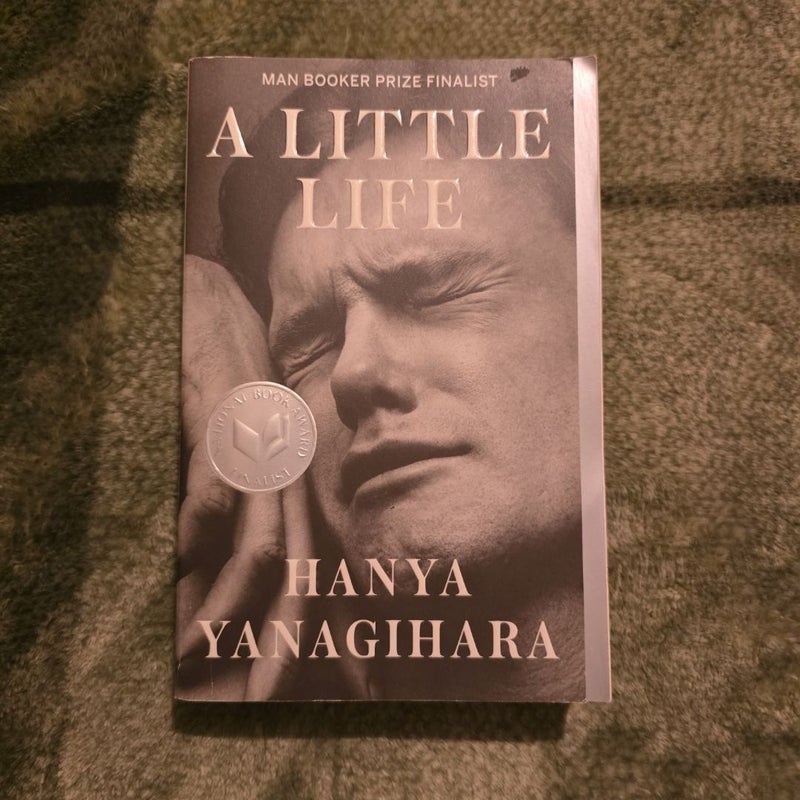 A Little Life