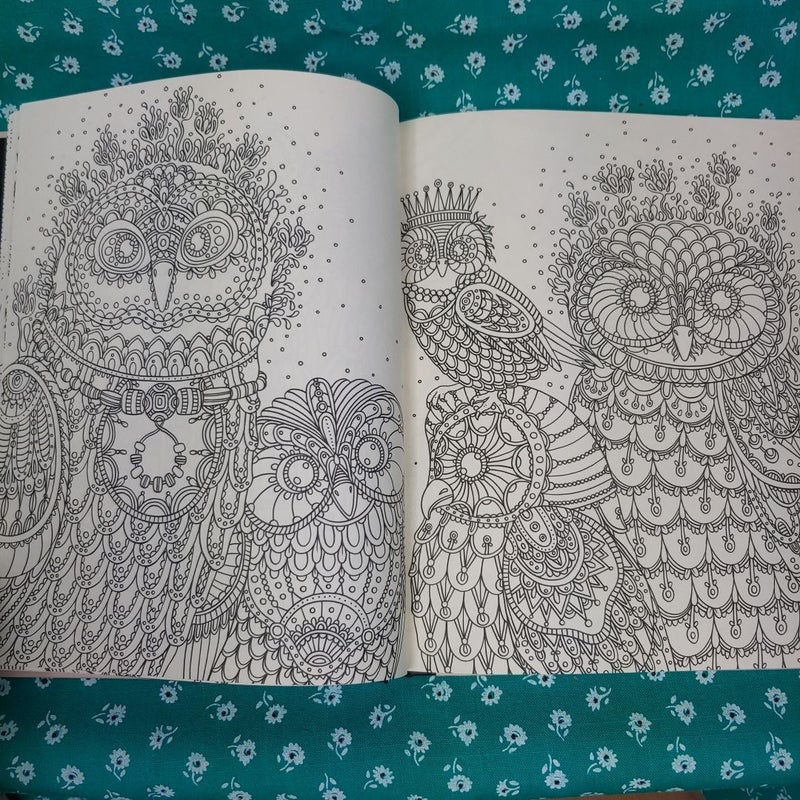 Summer Nights Coloring Book