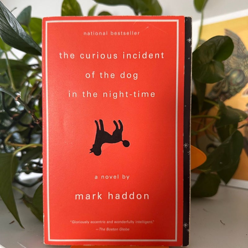 The Curious Incident of the Dog in the Night-Time