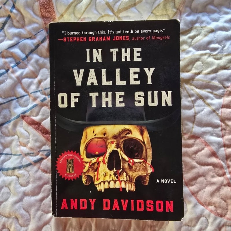 In the Valley of the Sun