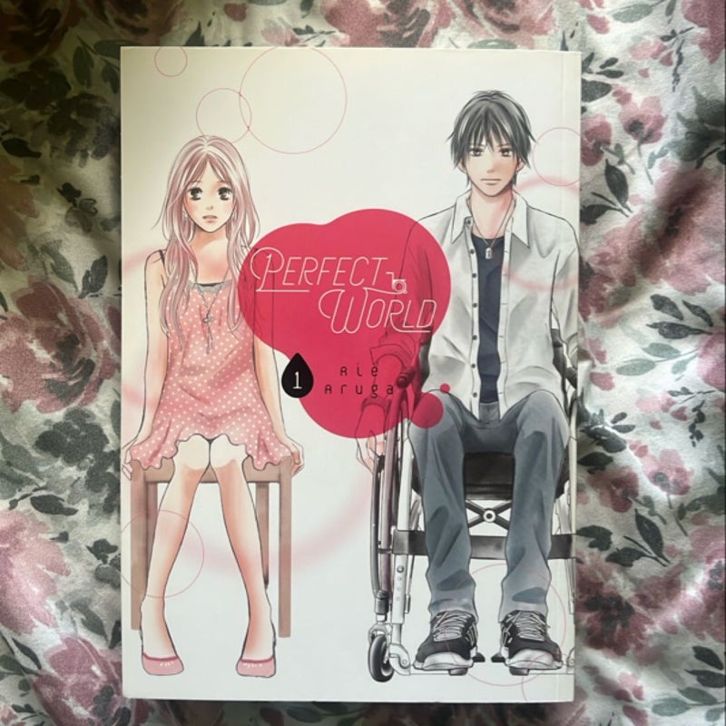 Perfect World 1