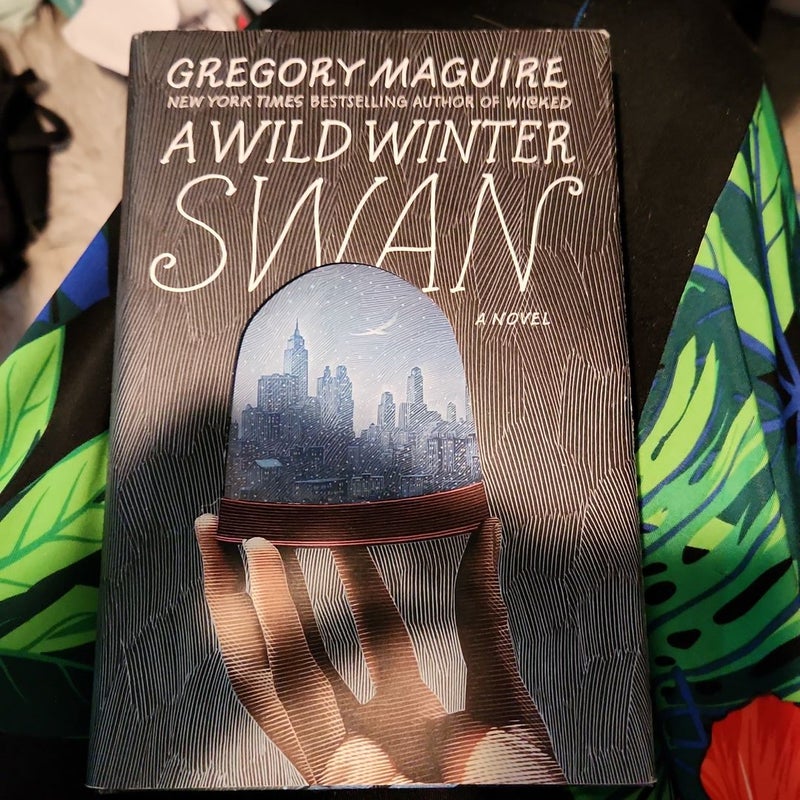 A Wild Winter Swan