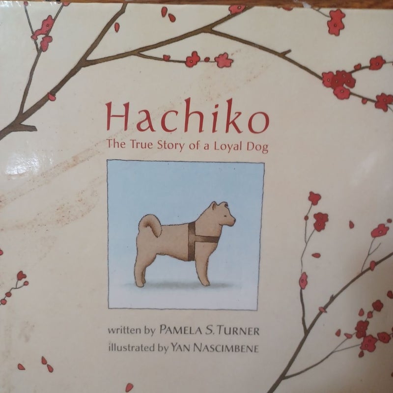 Hachiko