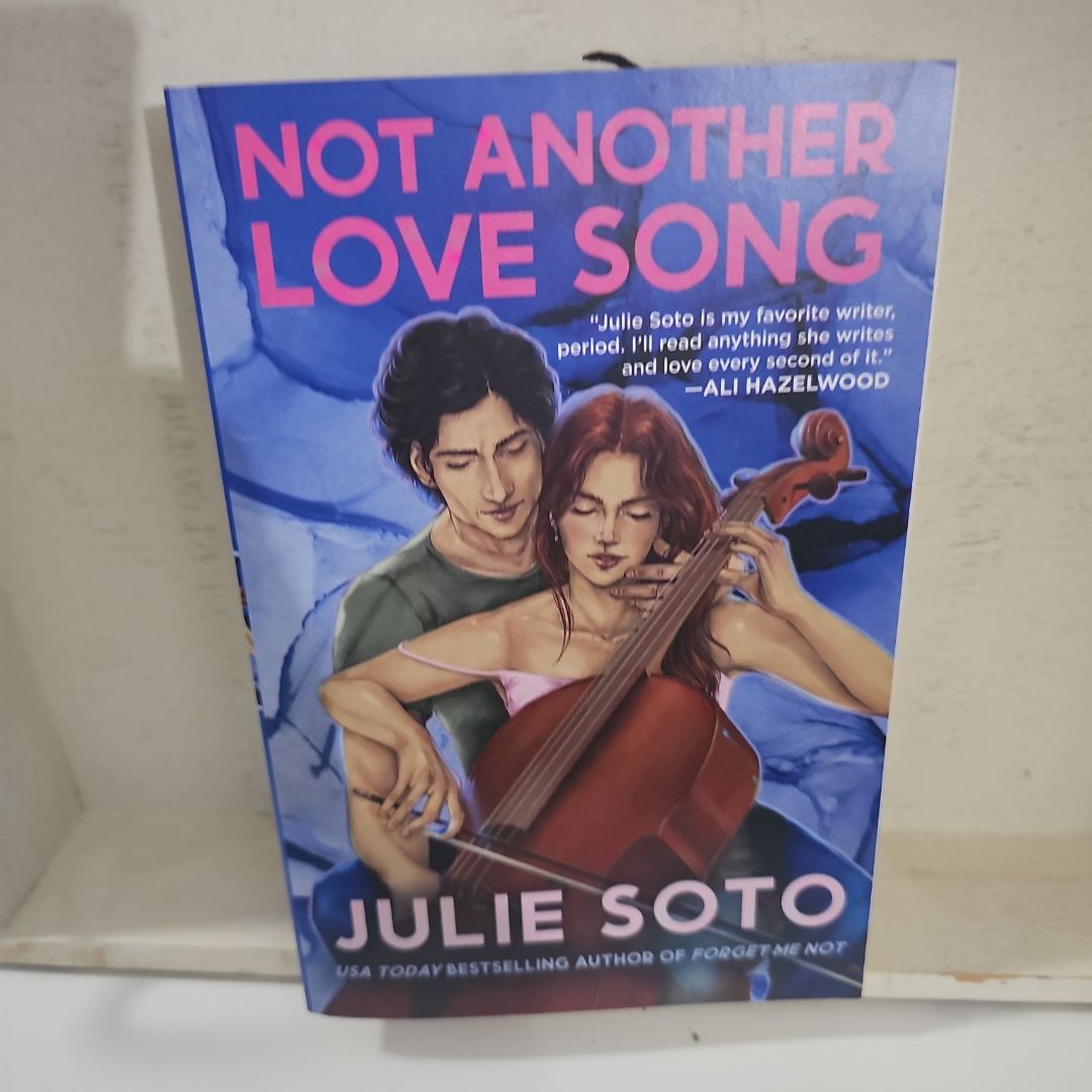 Not Another Love Song