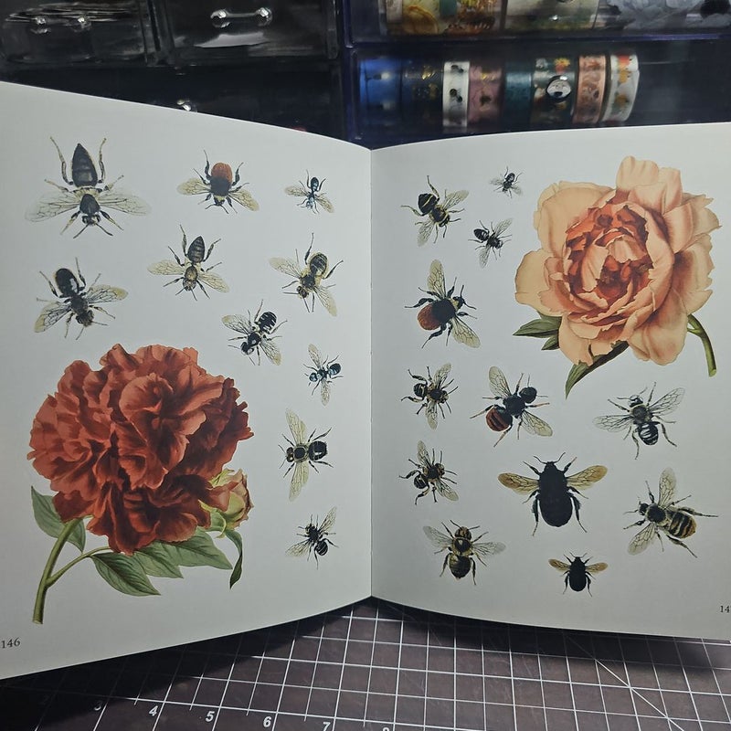 The Bees, Birds and Butterflies Sticker Anthology