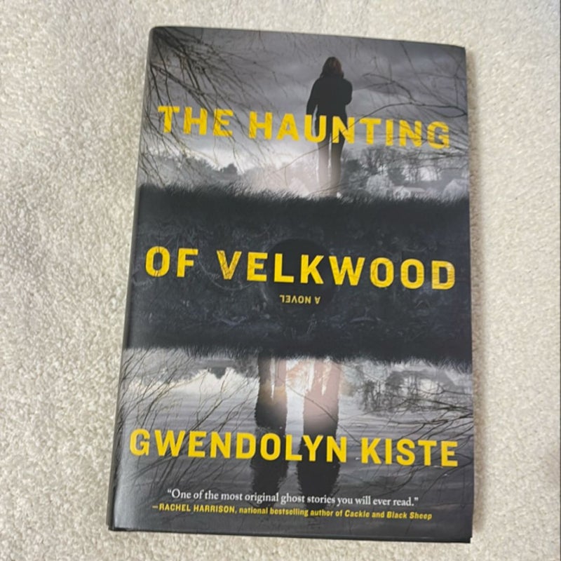 The Haunting of Velkwood