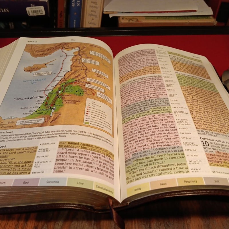 NIV Rainbow Study Bible, Saddle Brown LeatherTouch