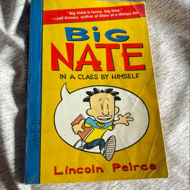 Big Nate: in a Class by Himself