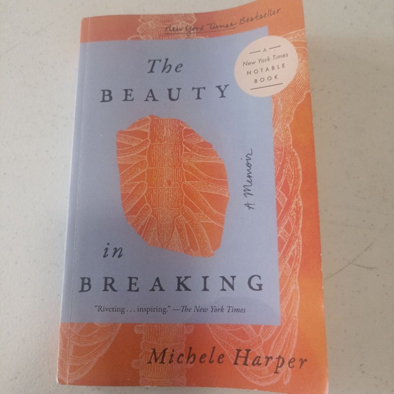 The Beauty in Breaking