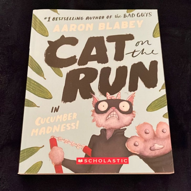 Cat on the Run in Cucumber Madness! (Cat on the Run #2)