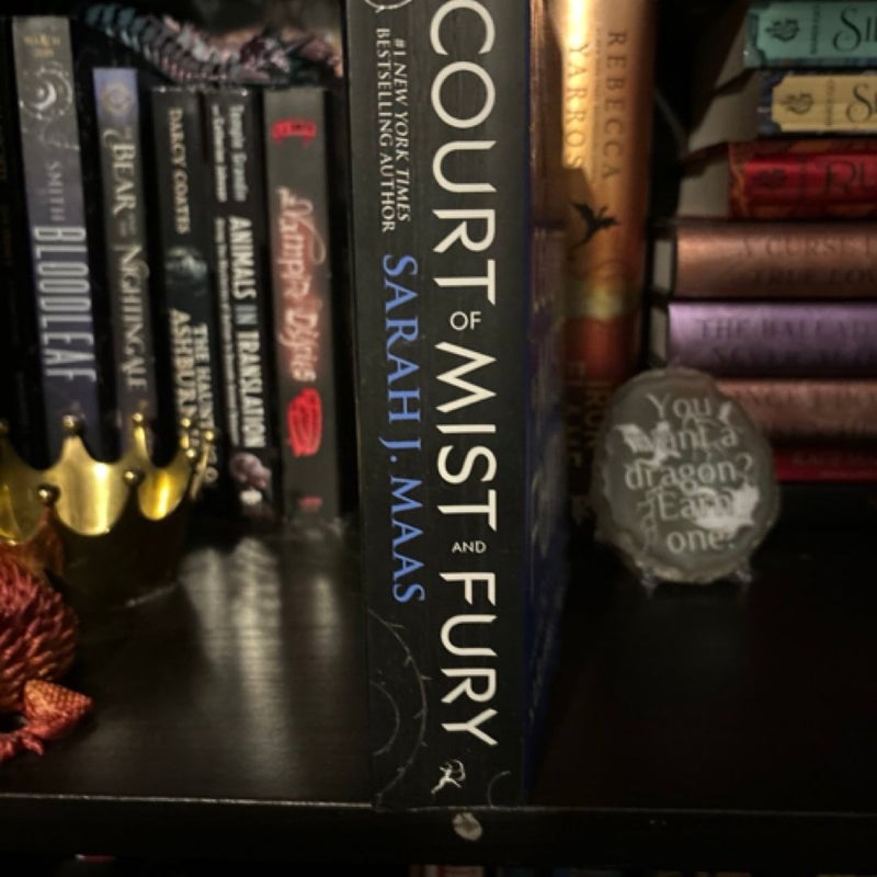 A Court of Mist and Fury by Sarah J. Maas OG cover paperback