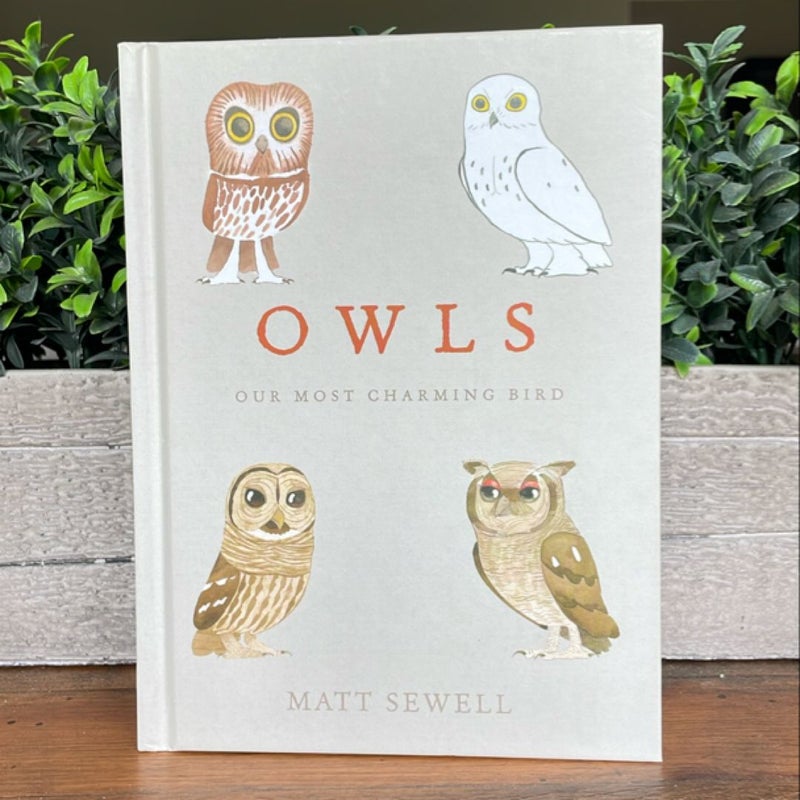 Owls