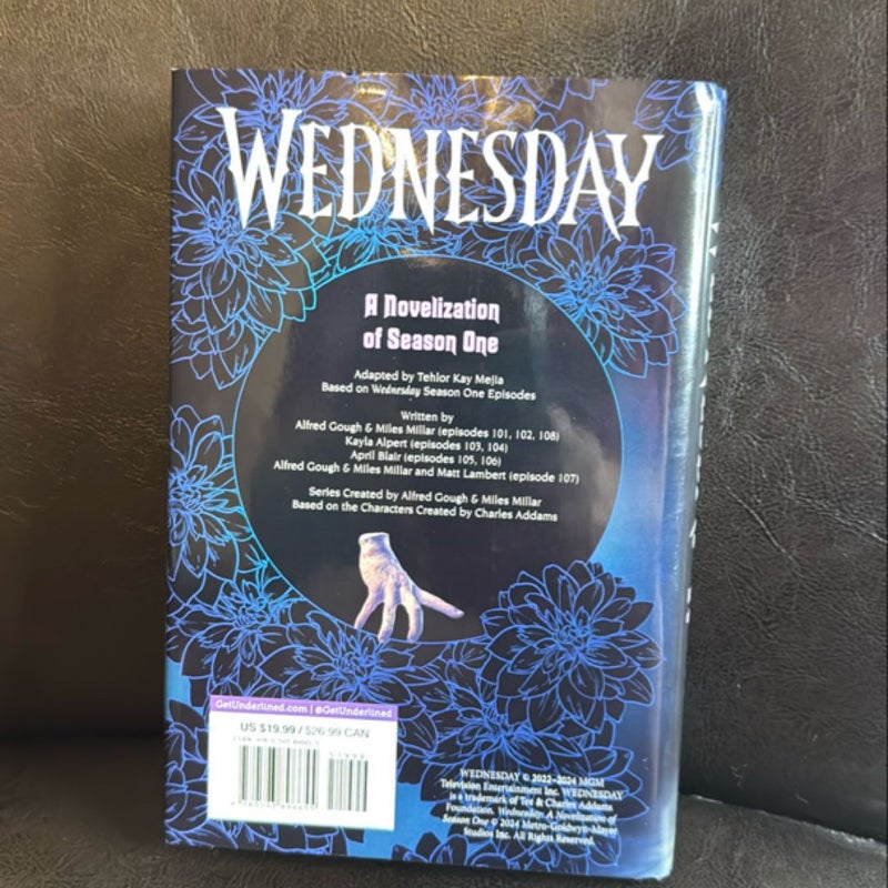 Wednesday: a Novelization of Season One