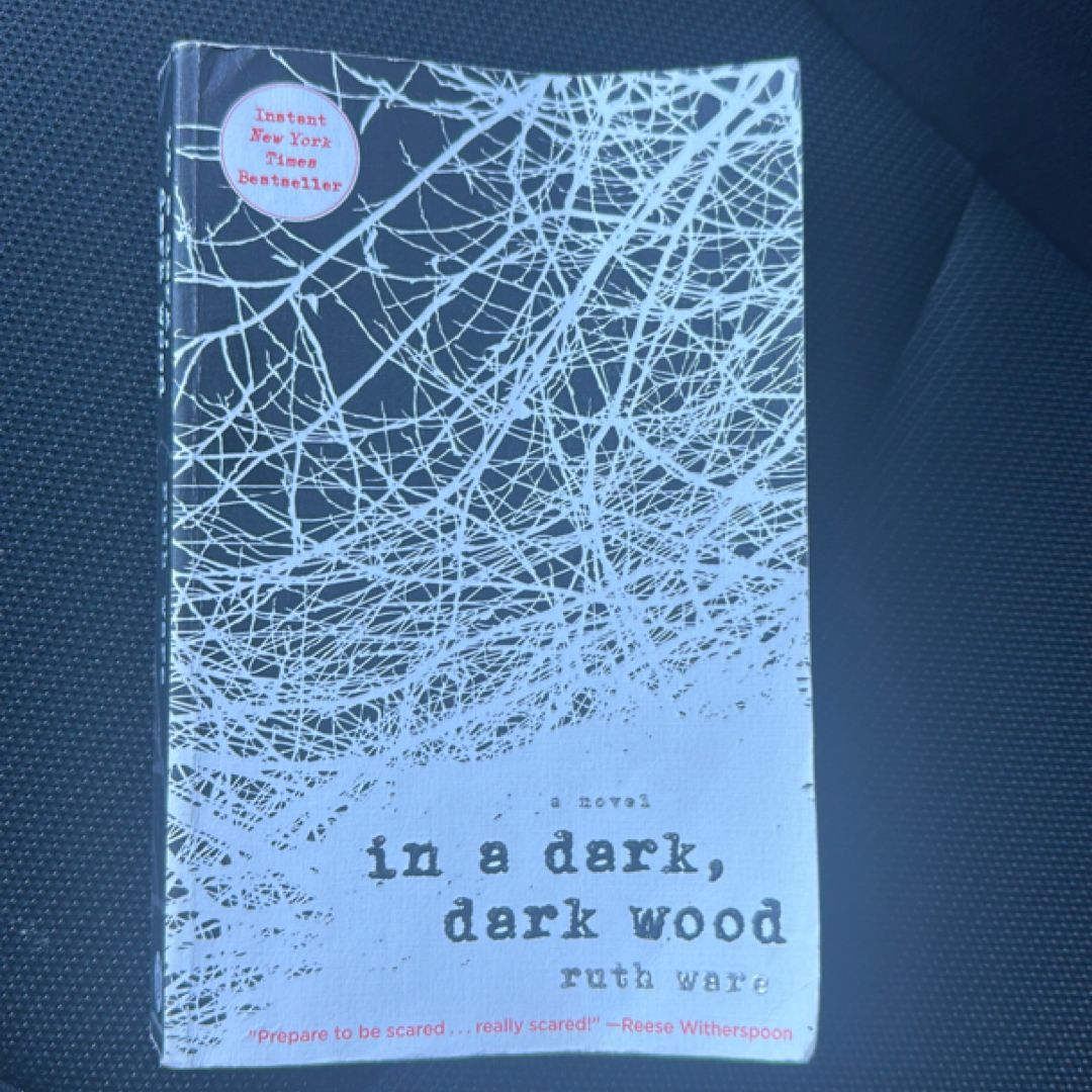 In a Dark, Dark Wood