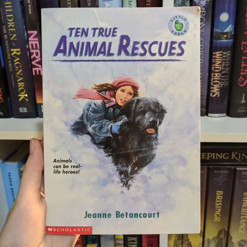 Ten True Animal Rescues