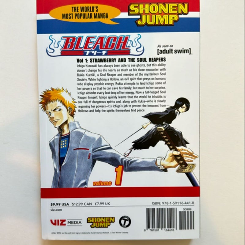 Bleach, Vol. 1