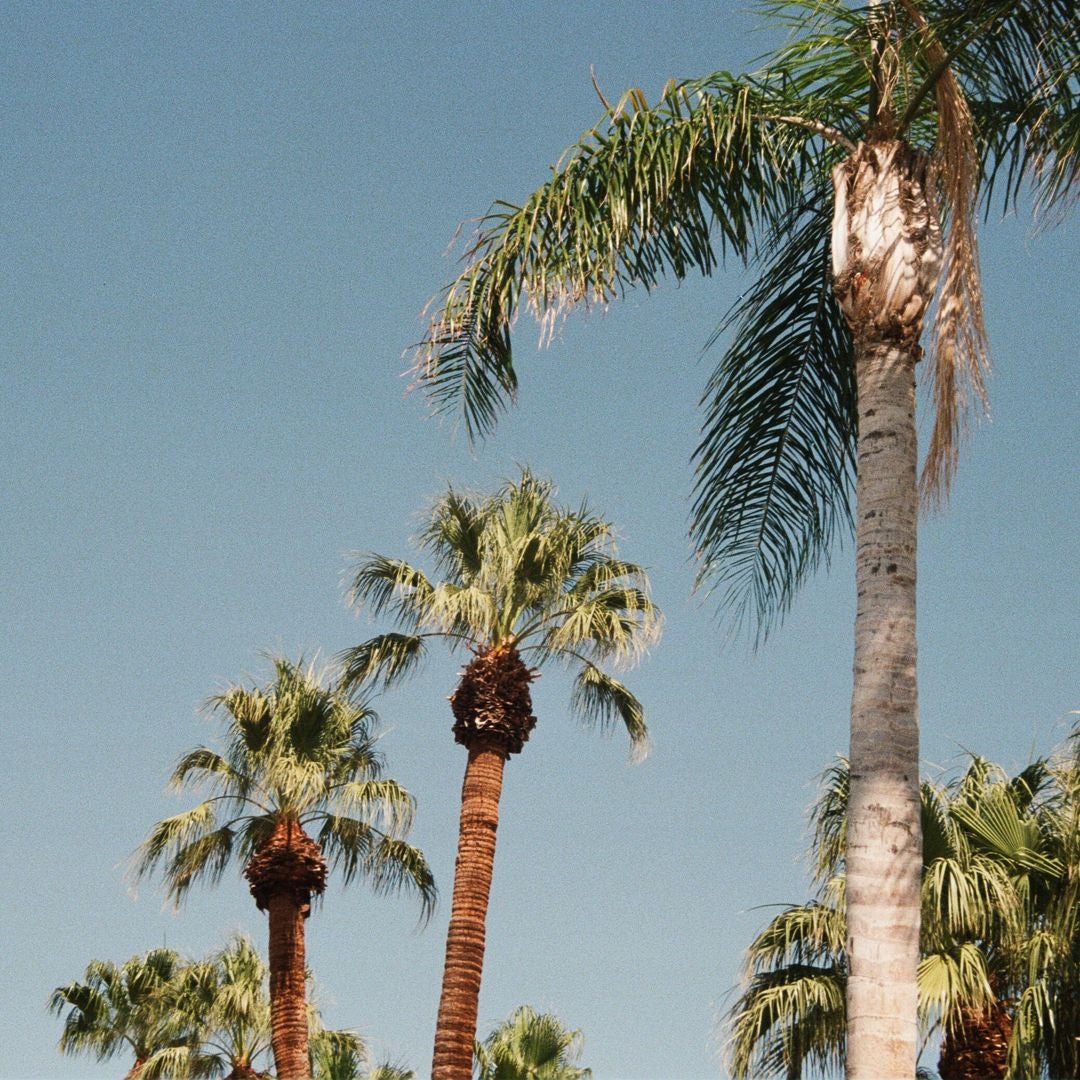 Summer