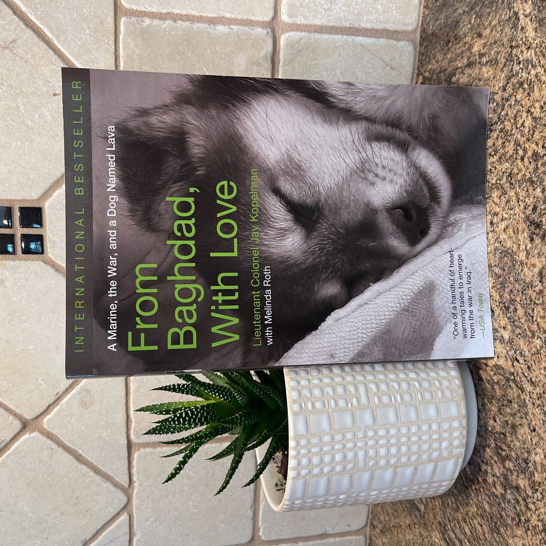 From Baghdad, with Love