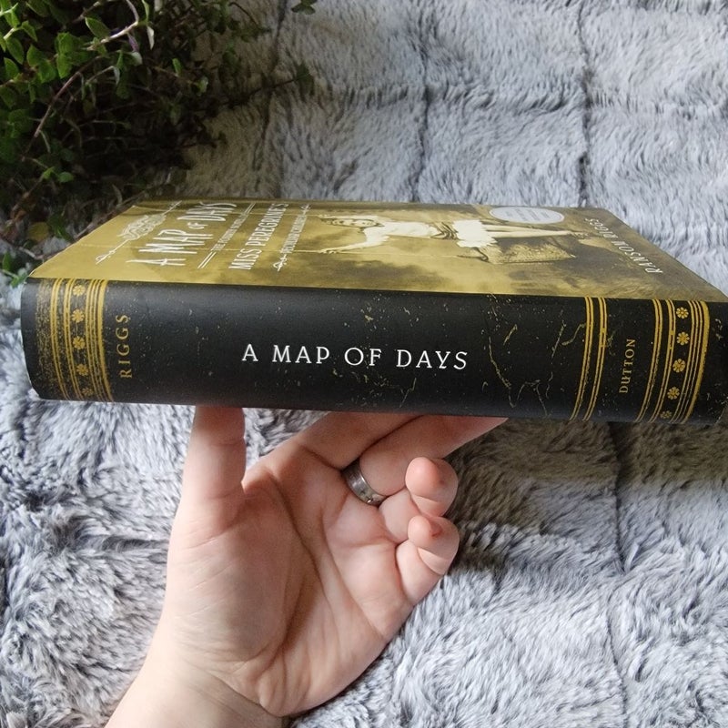A Map of Days