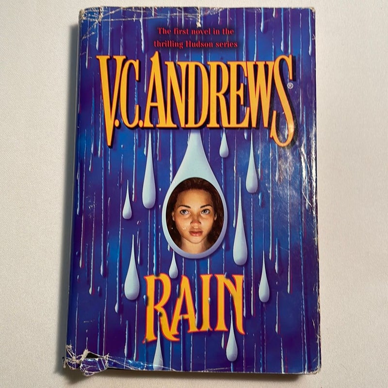 Rain ( The Hudson Series #1 )