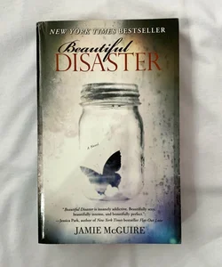 Beautiful Disaster