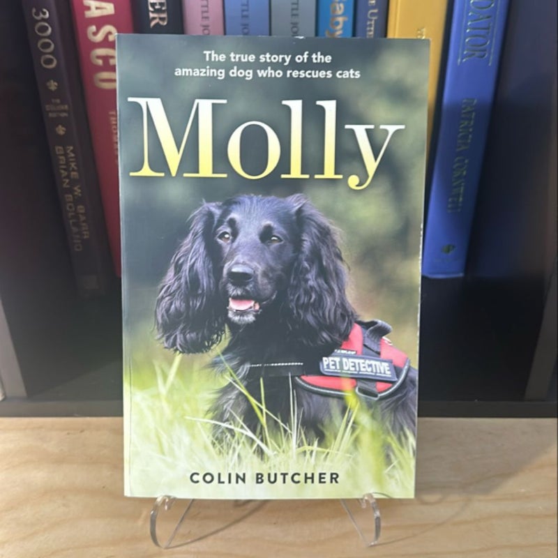 Molly: the True Story of the Amazing Dog Who Rescues Cats