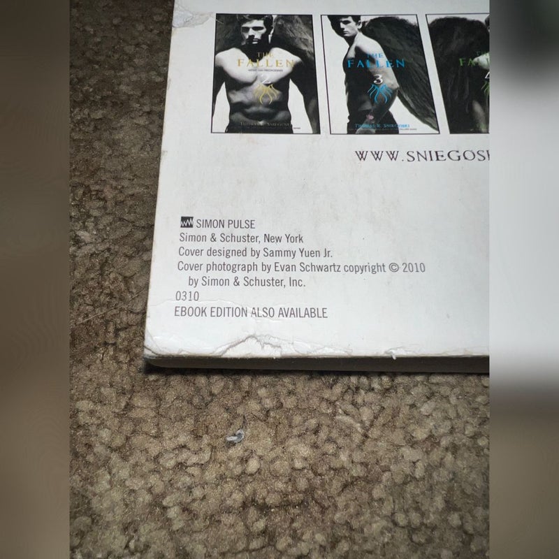 The Fallen Series: Books 1 & 2