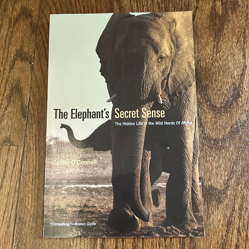 The Elephant's Secret Sense