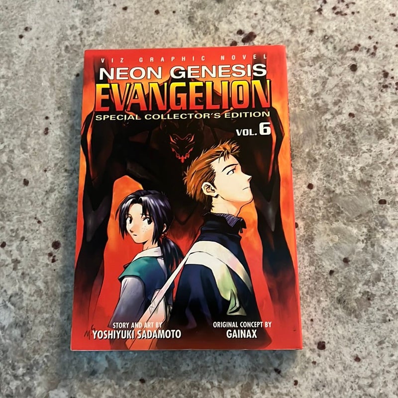Neon Genesis Evangelion Vol.6