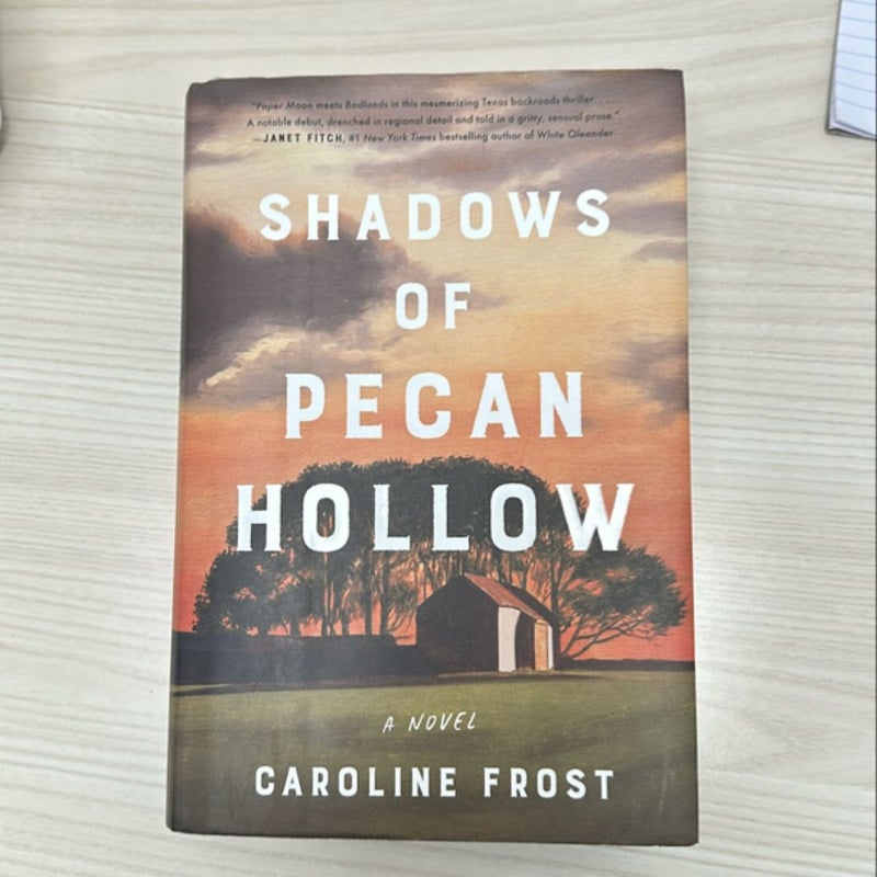 Shadows of Pecan Hollow