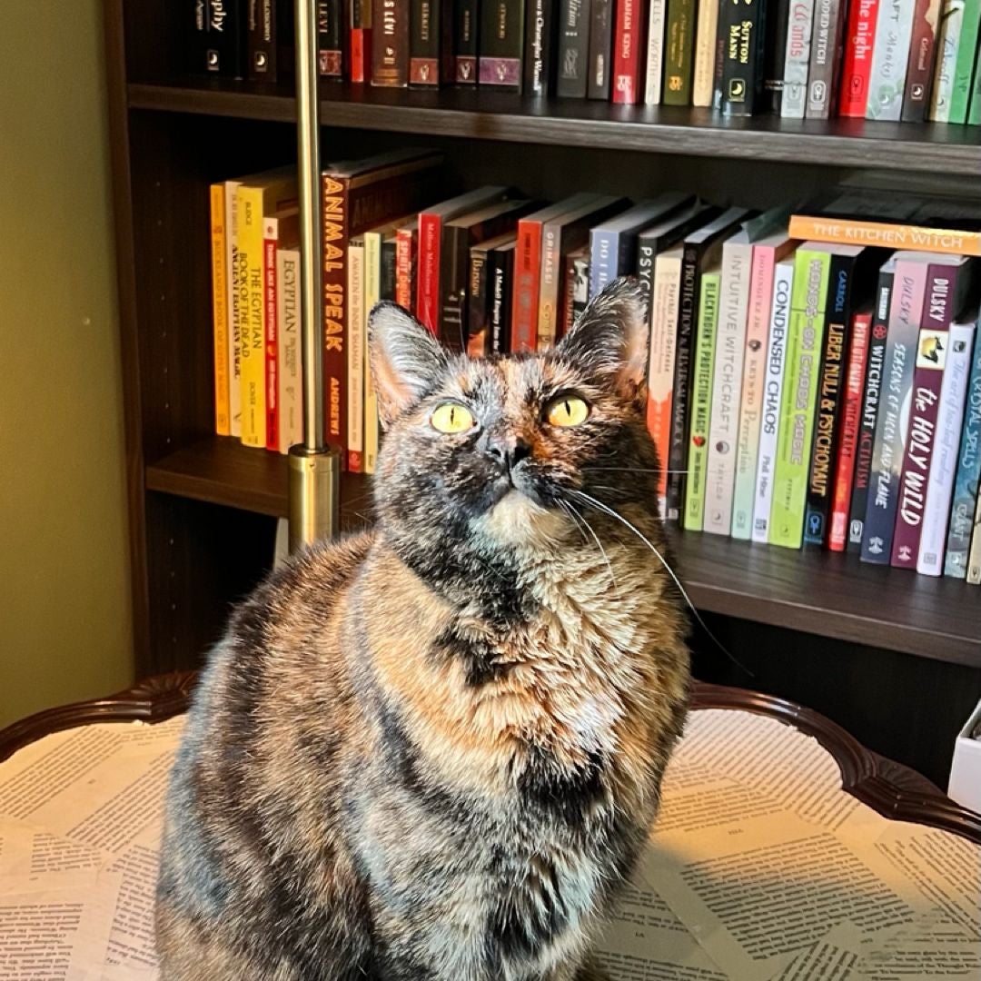 Penelope’s First Edition Books