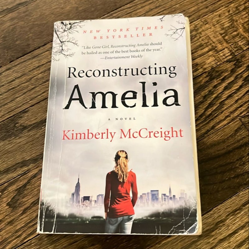 Reconstructing Amelia